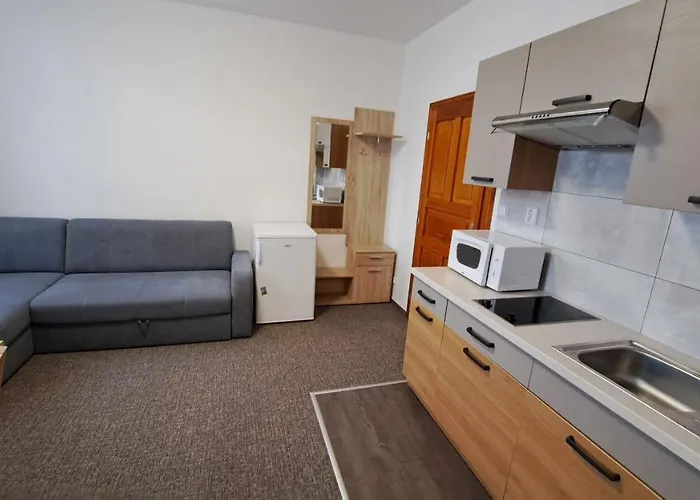 Apartment Centrum With Garage *